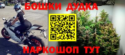 jwh Бердск