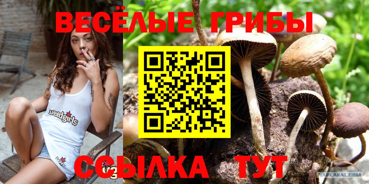 Псилоцибиновые грибы мухоморы  Галлюциногенные грибы GOLDEN TEACHER  Вход с VPN  Сыктывкар 