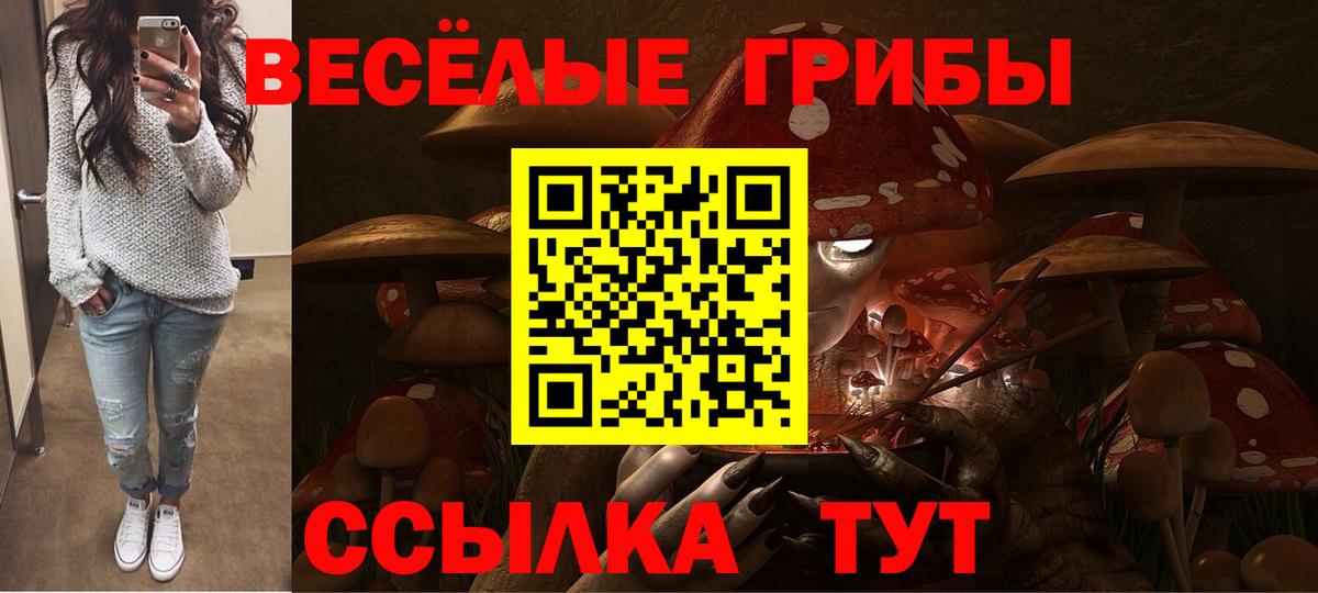 Псилоцибиновые грибы ЛСД Сыктывкар